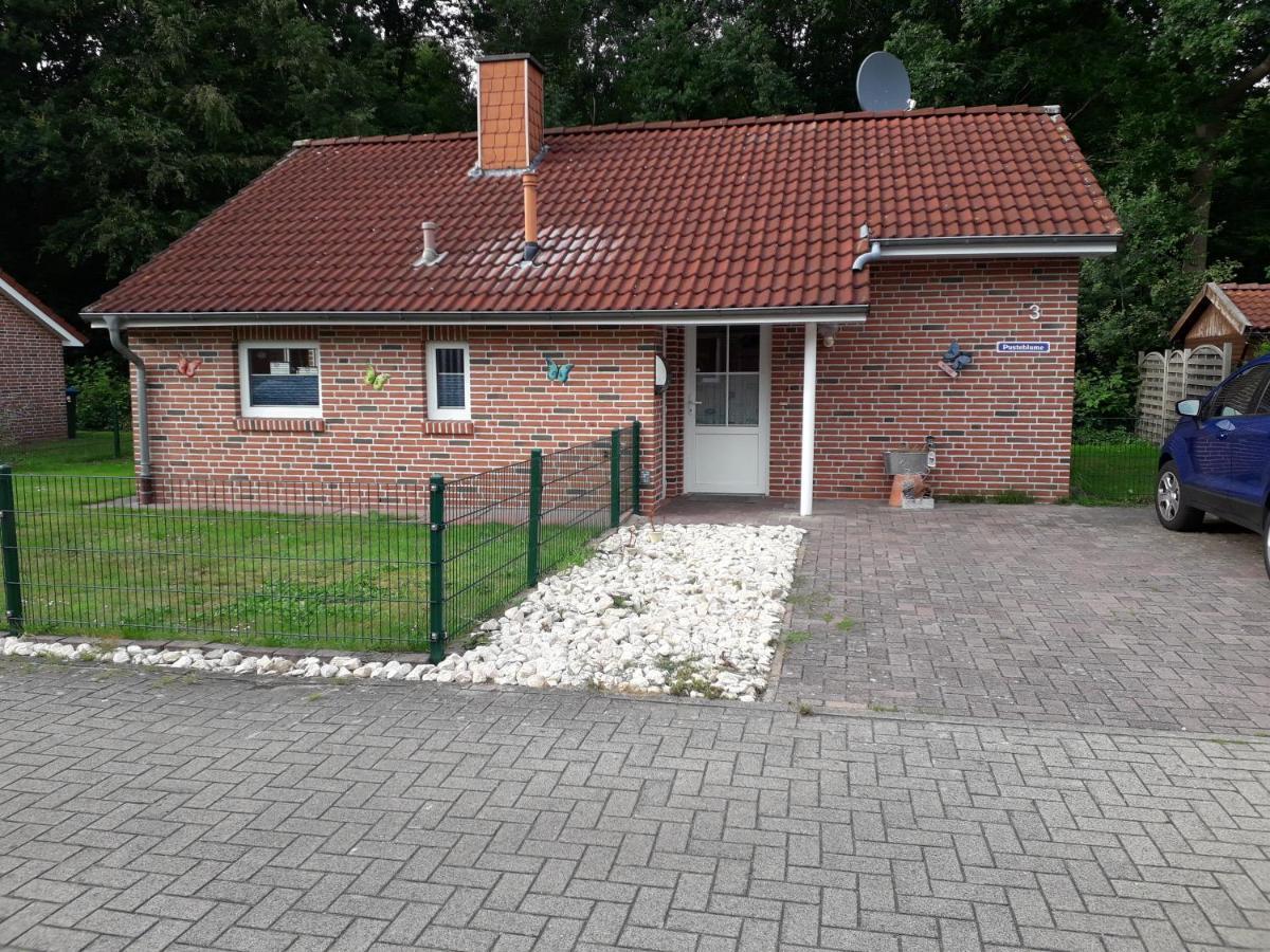 Ferienhaus Pusteblume Papenburg Exteriör bild